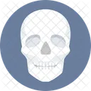 Skull Scary Horror Icon