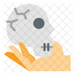 Skull  Icon