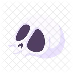 Skull  Icon