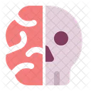 Skull Brain Bone Icon