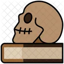 Skull Book  Icon