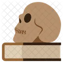 Skull Book  Icon