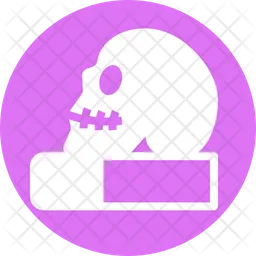 Skull Book  Icon