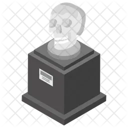 Skull Display  Icon