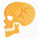 Head Fracture Skull Fracture Cranium Icon