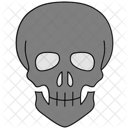 Skull  Icon