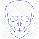 Skull Bones Anatomy Icon