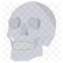 Skull Bones Skeleton Icon