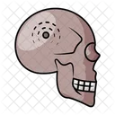 Brain Tumor Skull Base Icon