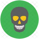 Skull  Icon