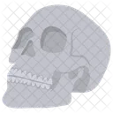 Skull Dead Head Head Icon