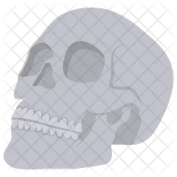 Skull  Icon