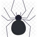 Spider Insect Halloween Icon