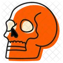 Skull Icon