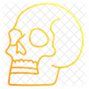 Skull  Icon