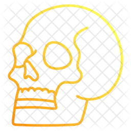 Skull  Icon