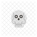 Skull  Icon