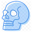 Skull Icon