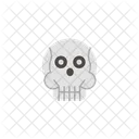 Skull  Icon