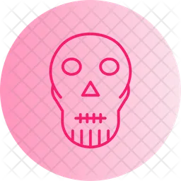 Skull  Icon