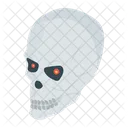 Skull Human Skull Cranium Icon