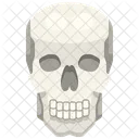 Skull Organ Body Part Icône