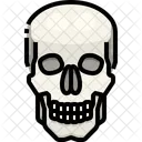 Skull Organ Body Part Icône