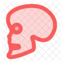 Skull  Icon