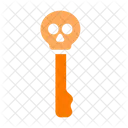 Skull key  Icon