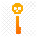 Skull key  Icon