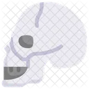 Skull Side  Icon