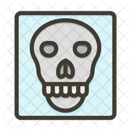 Skull x-ray  Icon