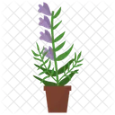 Skullcap Potted Plant  Icon