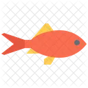 Slab Fish Food Icon