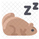 Sleeping Groundhog  Icon