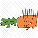 Carrot Icon