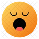 Sleepy Face Emoji Face Icon