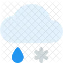 Sleet Snowflake Cloud Icon