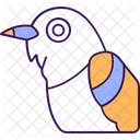 Slender Bird Cuckoo Bird Cuculidae Icon
