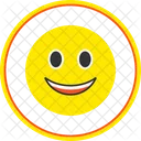 Slightly smiling face  Icon