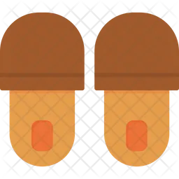 Slippers  Icon