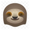 Sloth Animal Turtle Icon
