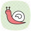 Slug Insect Snail Icon