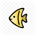 Small Fish Fish Triangular Fish Icon