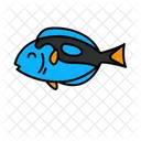 Small Fish  Icon