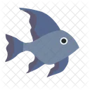 Small fish  Icon