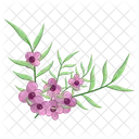 Small Flowers Long Leaf Weeds  Icon