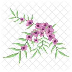 Small Flowers Long Leaf Weeds  Icon