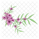 Small Flowers Long Leaf Weeds  Icon