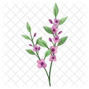 Small Flowers Spring Flower Plant  Icon